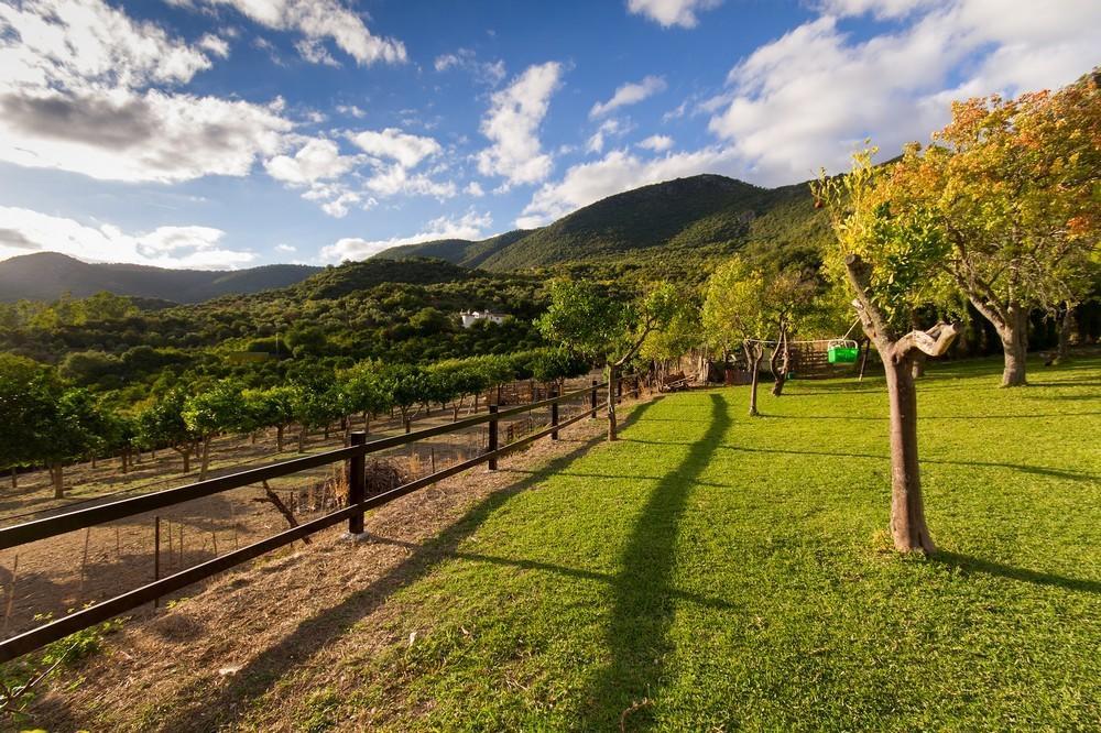 Finca El Huertezuelo El Bosque Zewnętrze zdjęcie